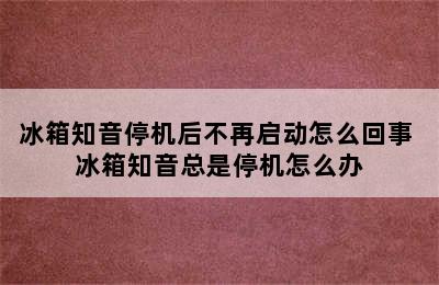 冰箱知音停机后不再启动怎么回事 冰箱知音总是停机怎么办